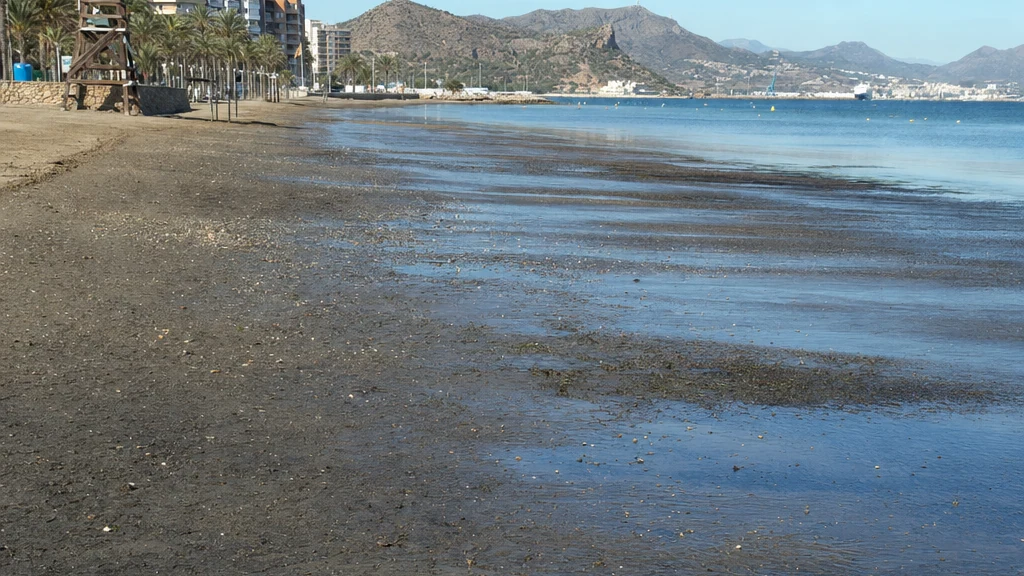 Línea de costa de Cartagena tras la retirada inusual del nivel del mar el 28 de agosto de 