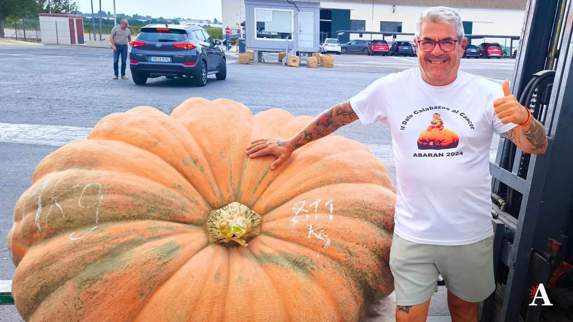 Calabazas gigantes para la convocatoria solidaria de Abarán. Imagen difundida por Abarán Día a Día.