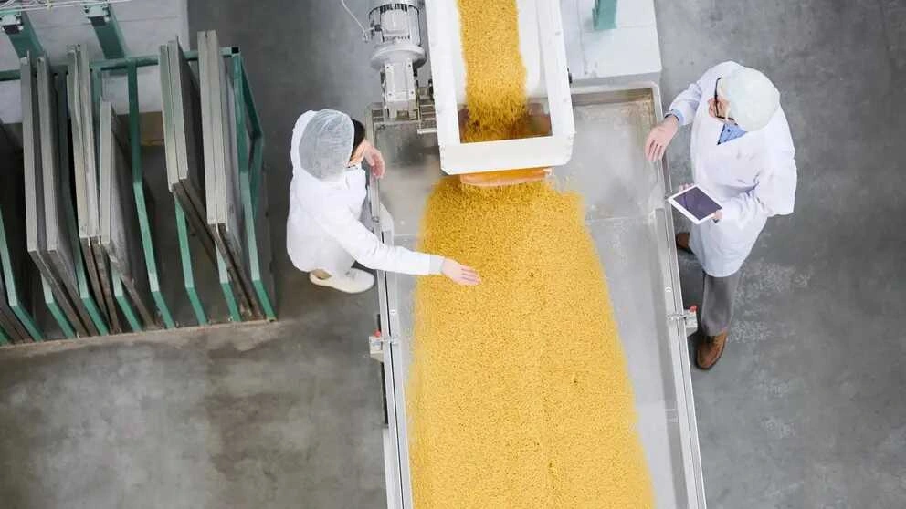 Línea de producción alimentaria con personal equipado con protección, en una fotografía de recurso