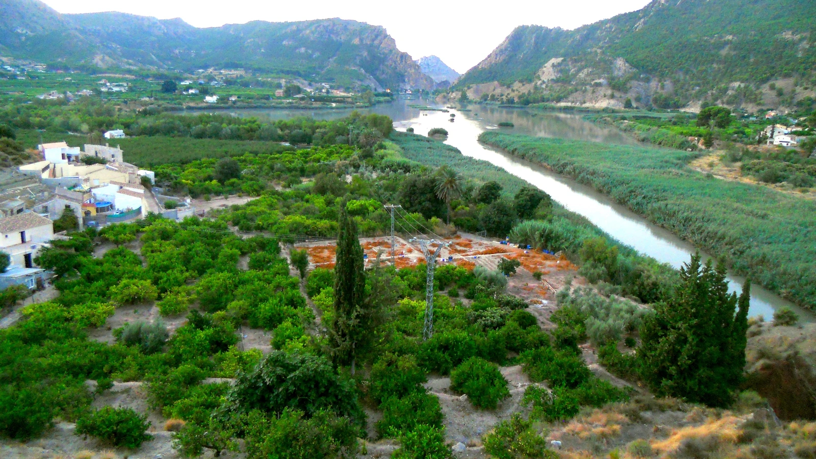 El río Segura a su paso por el azud de Ojós, entre huertos de cítricos y montañas del Valle de Ricote.