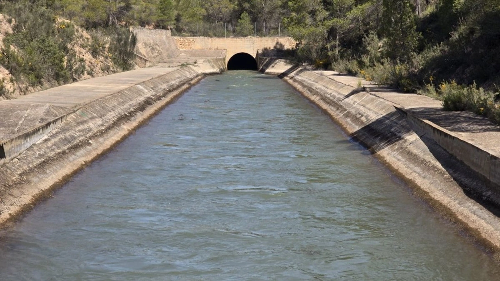 Canal de hormigón del trasvase Tajo-Segura con agua circulando hacia la boca de un túnel entre pinos