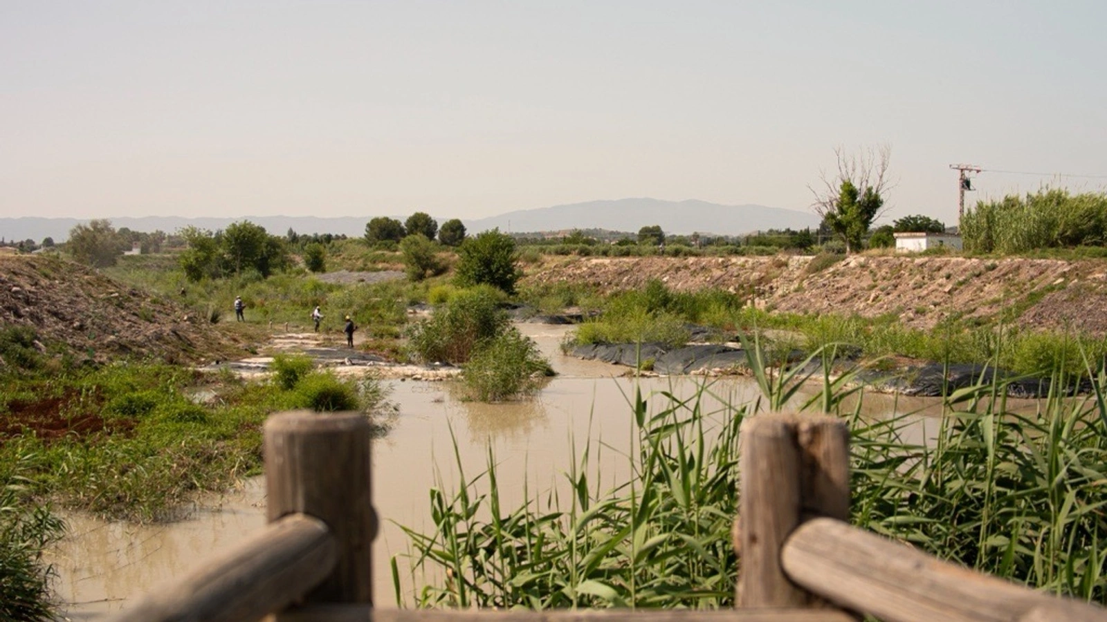 Cauce fluvial y vegetación en Alguazas, uno de los municipios de LIFE FloodProof
