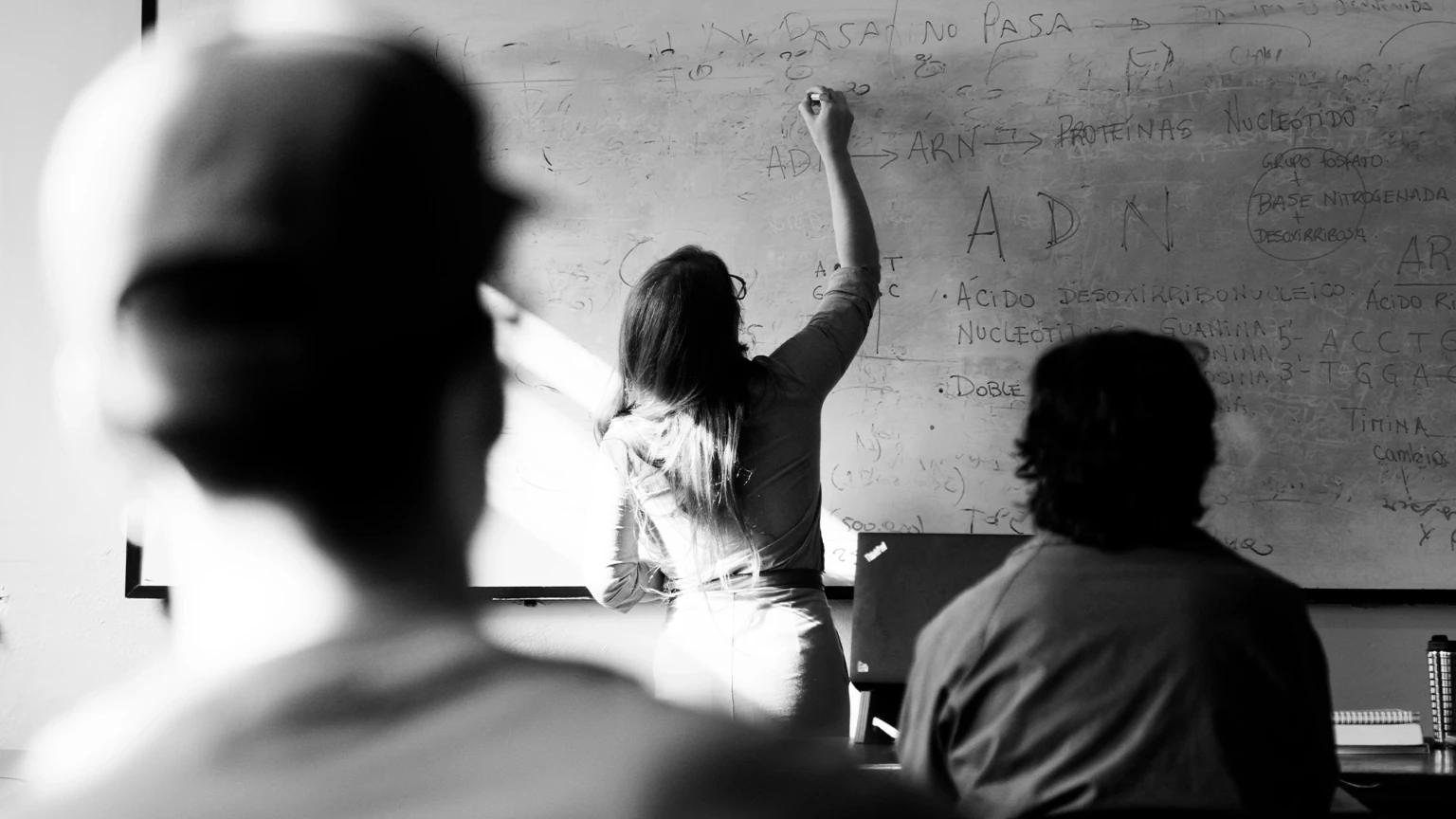 La Región de Murcia queda por debajo de la media nacional en las áreas evaluadas por PISA. Educación culpa a la Lomloe y crece la petición de respuestas.