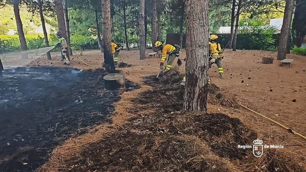 Extinguido el incendio de El Argaz en Cieza tras afectar a 400 metros junto al Segura