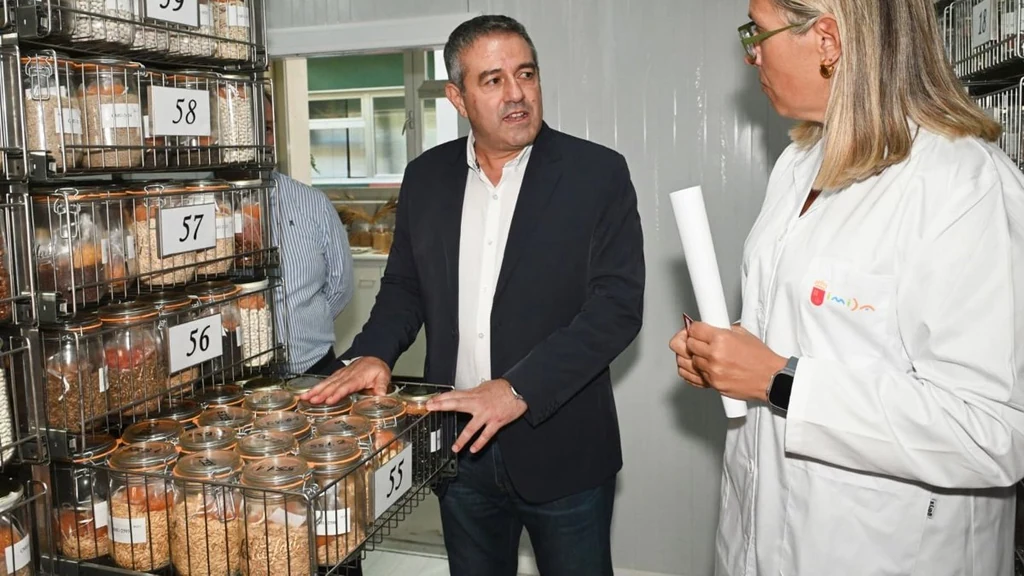 Muestras de semillas tradicionales de la huerta de la Región de Murcia destinadas a su con