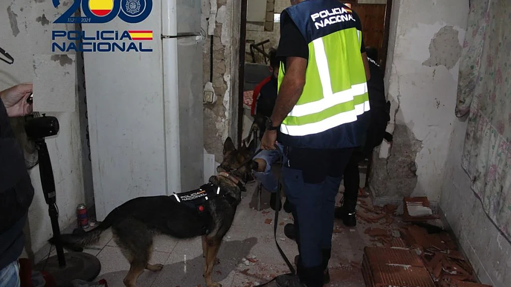 Un agente de la Policía Nacional con un perro detector durante el registro del narcopiso de Molina de Segura